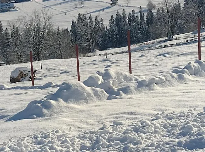 U Stochow דירה *